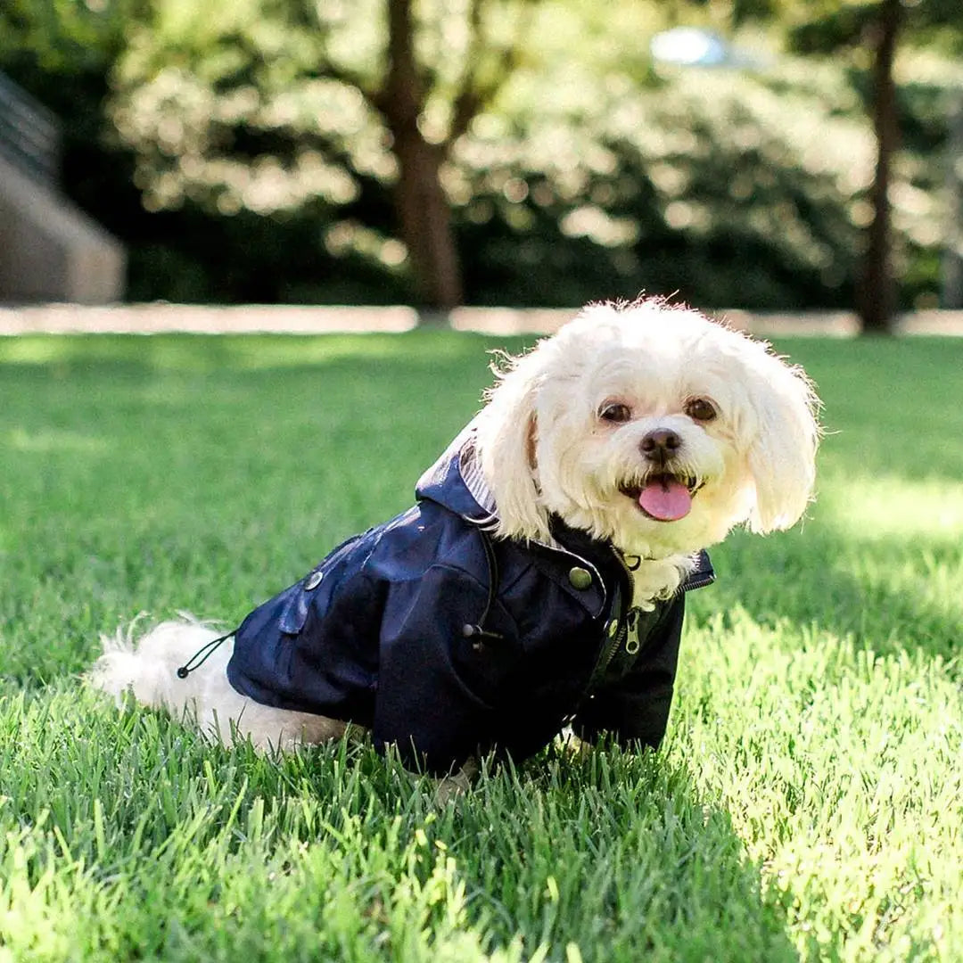 Stylish Colorful Hooded Waterproof Dog Rain Coat