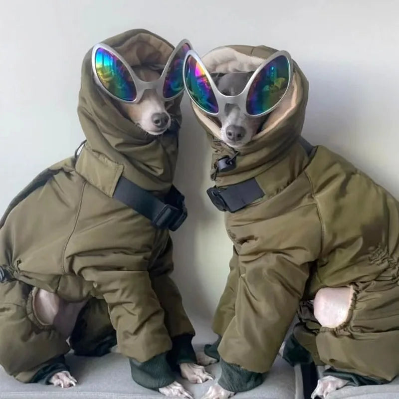 Warm Winter Thickened Outdoor Dog Coat