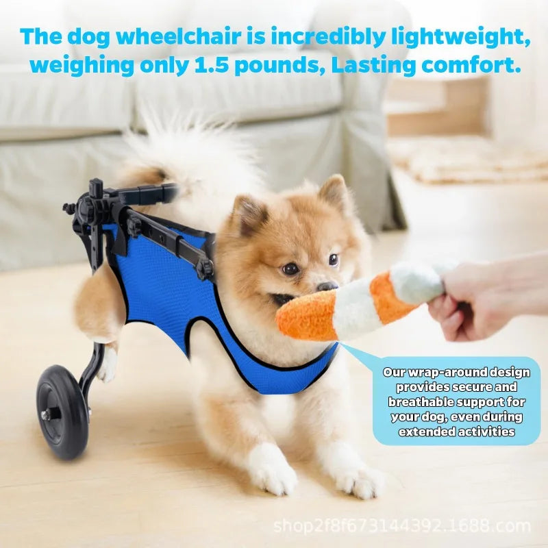 Rehab Dog Walking Assistance Vehicle