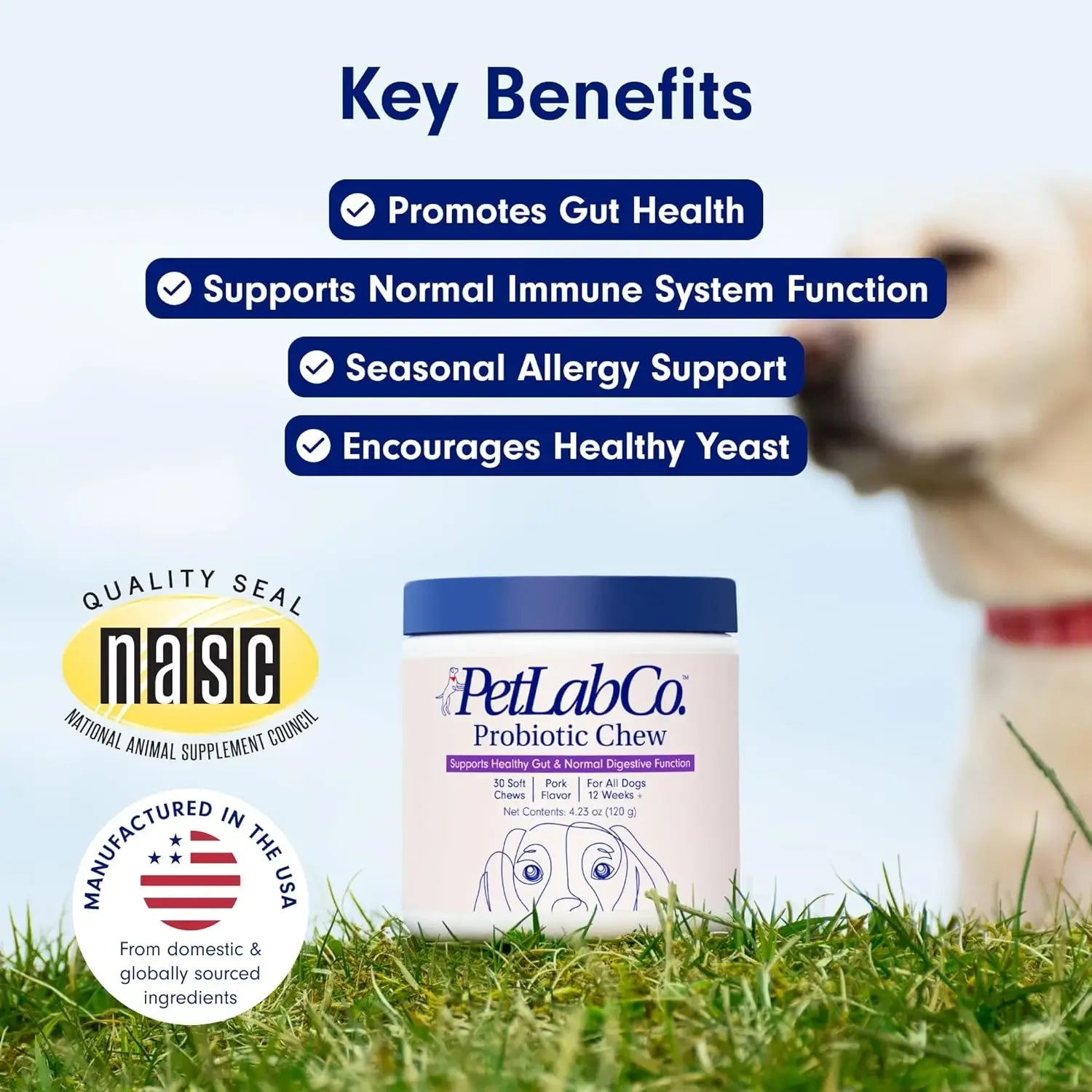 PetLab Co. Pork Flavored Probiotic Chews for Dogs