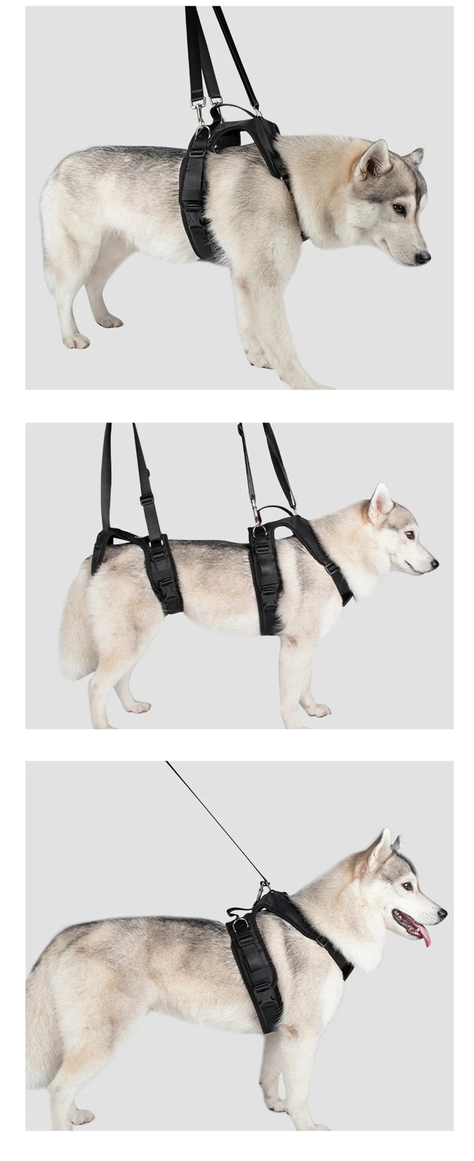 Assisted Support Split Dog Harness