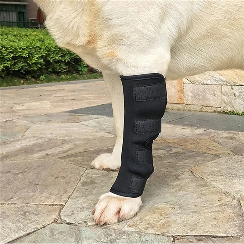 2PC Dog Joint Brace Bandage Wrap