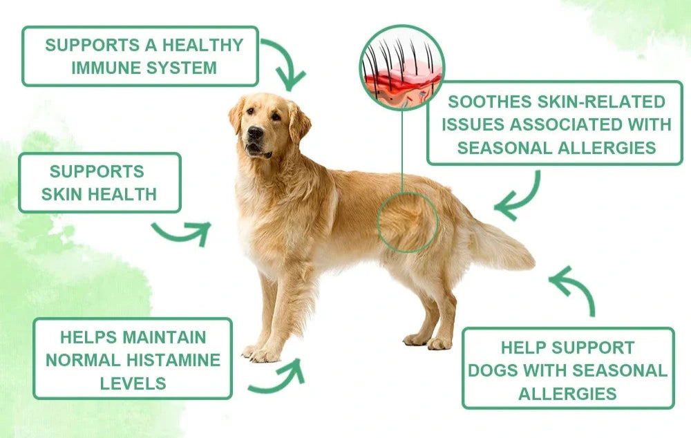 Anti-Allergy, Skin & Immune Support Powder For Dogs