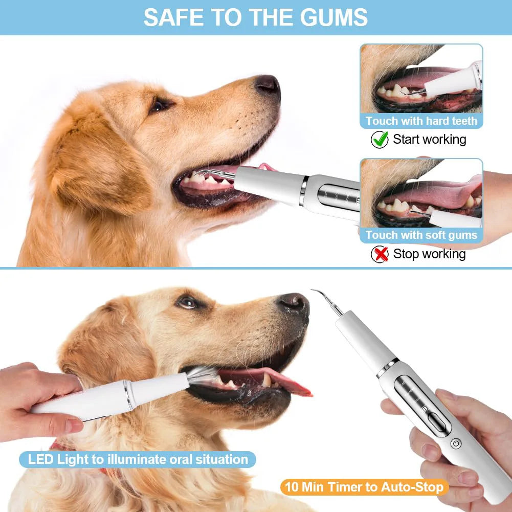 Ultrasonic Pet Dental Care Toothbrush Kit