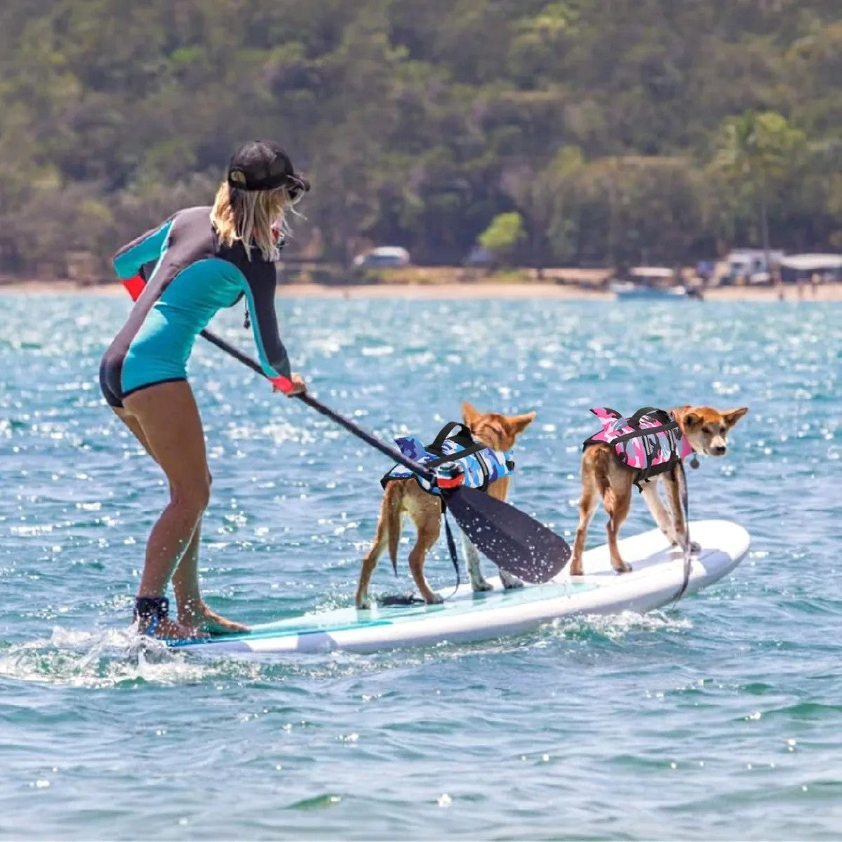 High Performance Shark Fin Design Dog Life Jacket