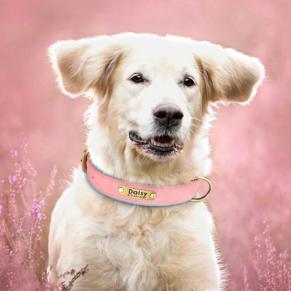 Customized Soft Padded Leather Dog Collar