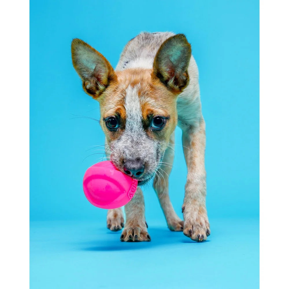 3 Pack Durable Latex Squeaky Dog Fetch Balls