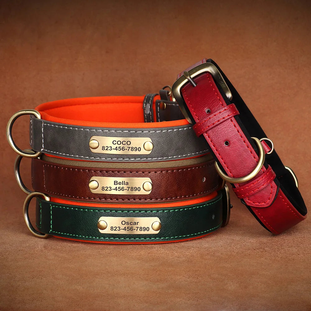 Soft Padded Leather Custom ID Dog Collar