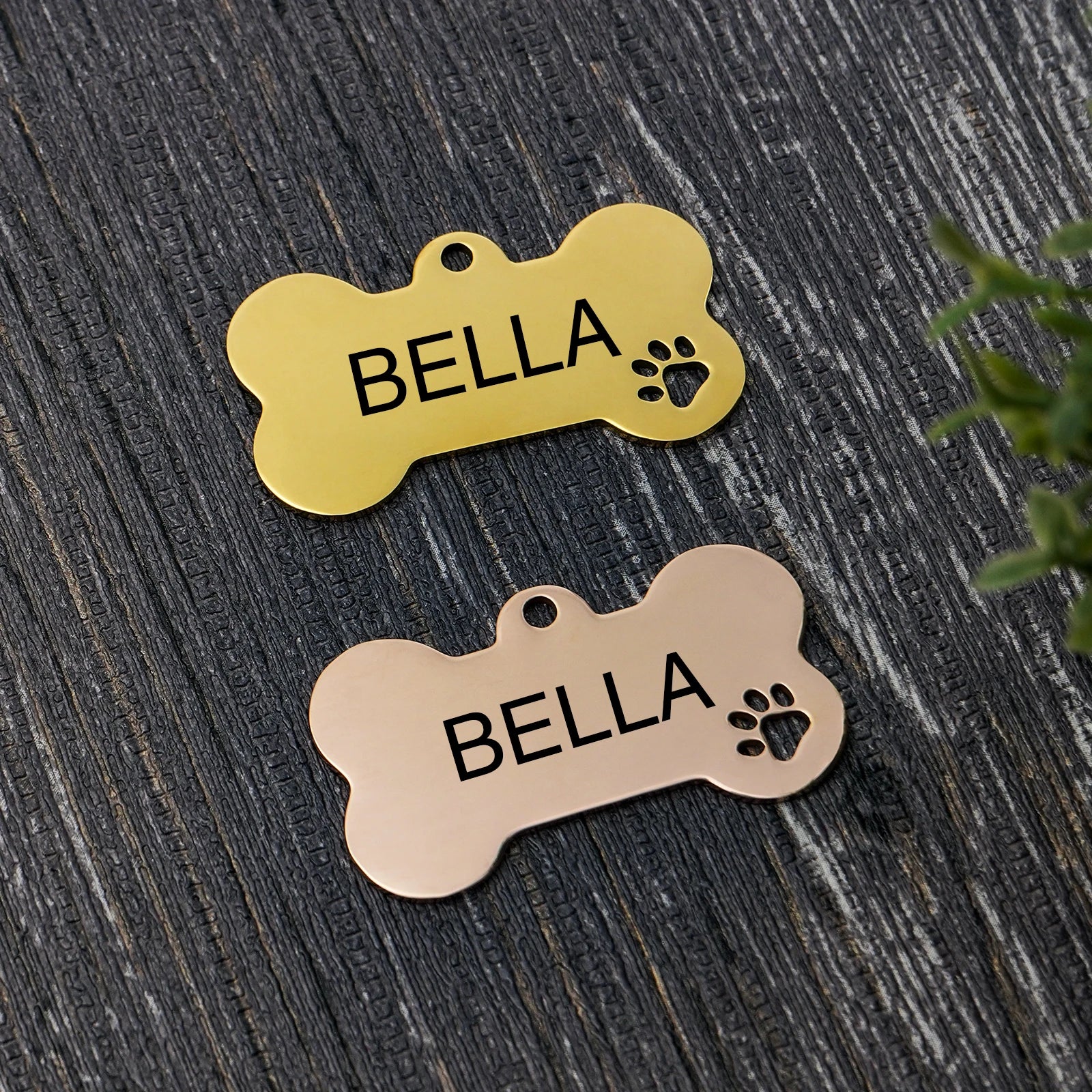 Stainless Steel Personalized Dog ID Tag