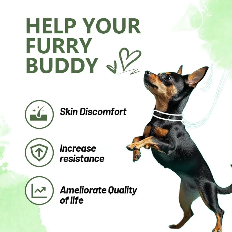 Anti-Allergy, Skin & Immune Support Powder For Dogs