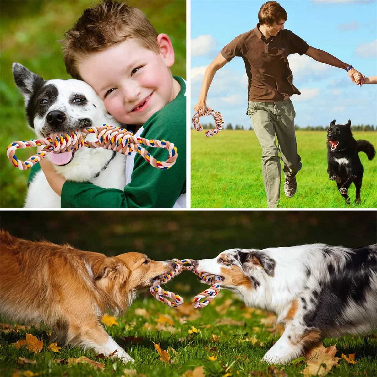 Virtually Indestructible Chew Rope Dog Toy