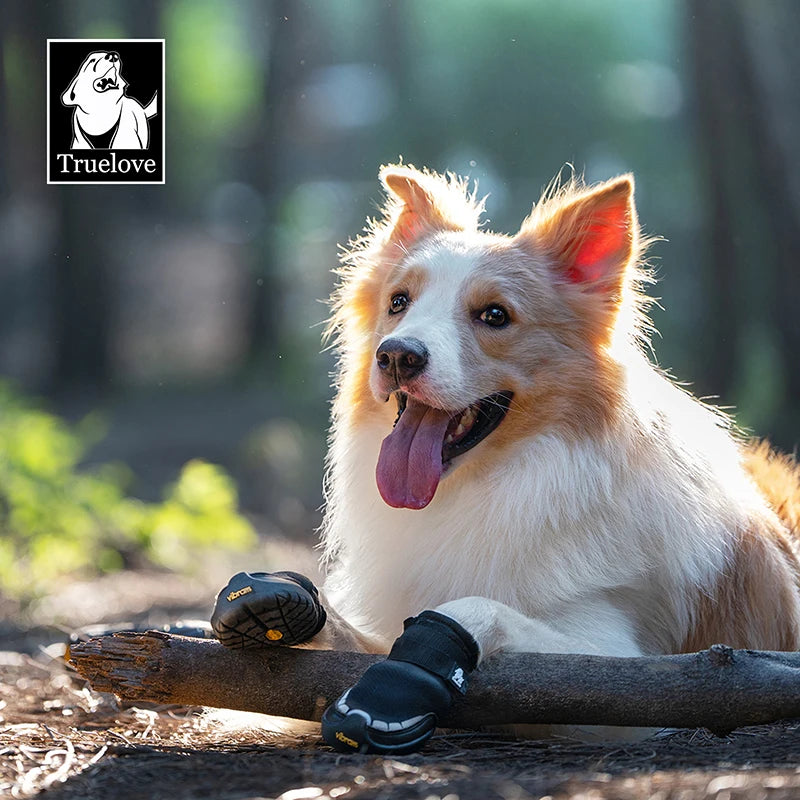 Truelove Explorer Reflective Durable Pet Training Boots w/Golden Vibram Soles