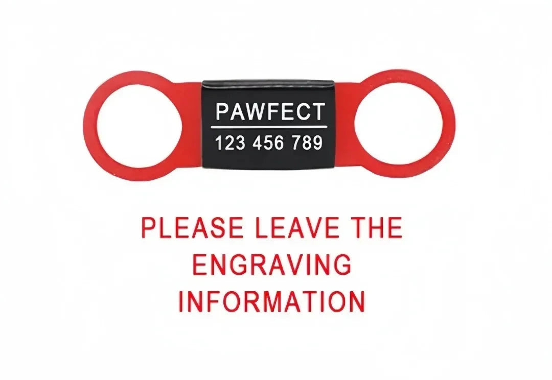 Custom Laser Engraved Pet ID Collar Charm