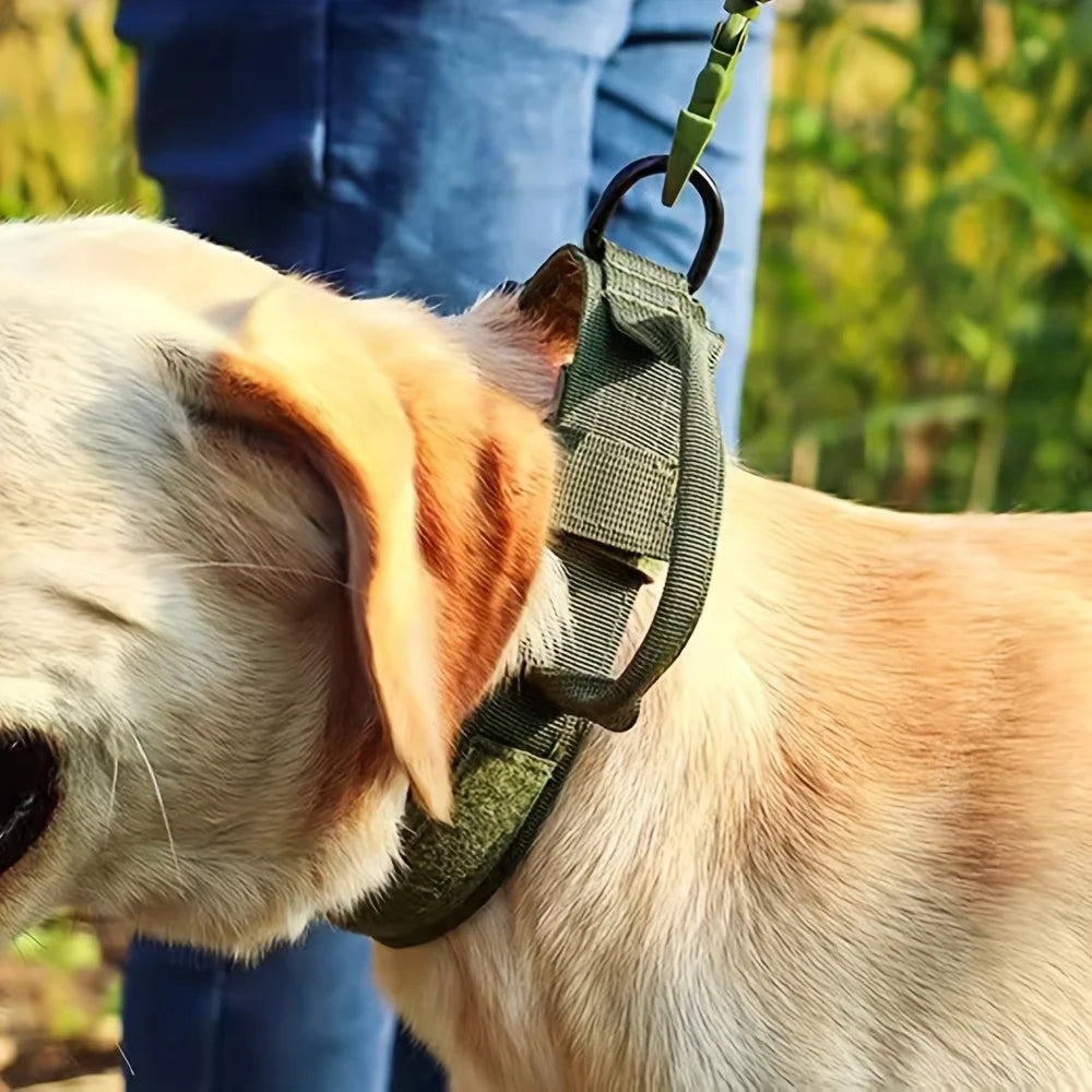 Adjustable Tactical Dog Training  Collar
