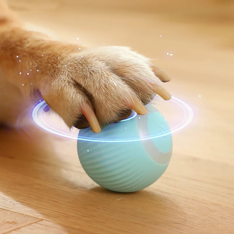 Gravity Intelligent X-Small Electric Rolling Smart Pet Ball