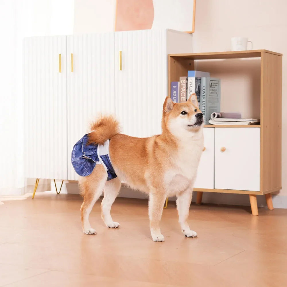 Cute Washable Female Dog Panties