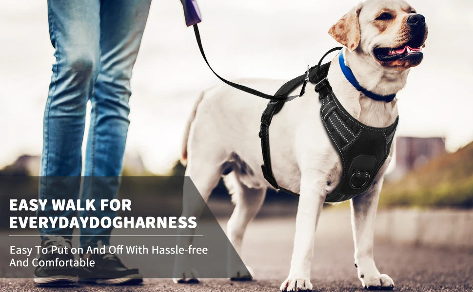 No-Pull Nylon Adjustable Reflective Dog Vest Harness w/ 2 Metal Leash Hooks