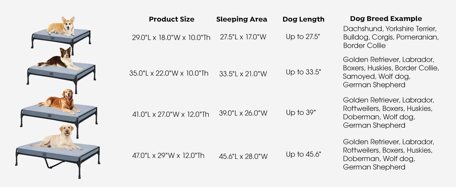 Three-Sided Guardrail Elevated Pet Bed w/Foam Cushion