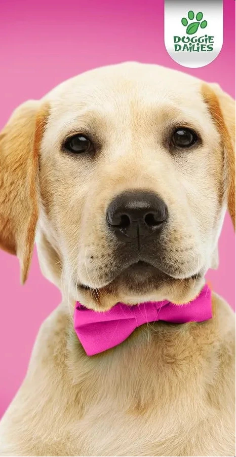 Antioxidant Dog Skin & Coat Support Soft Chews