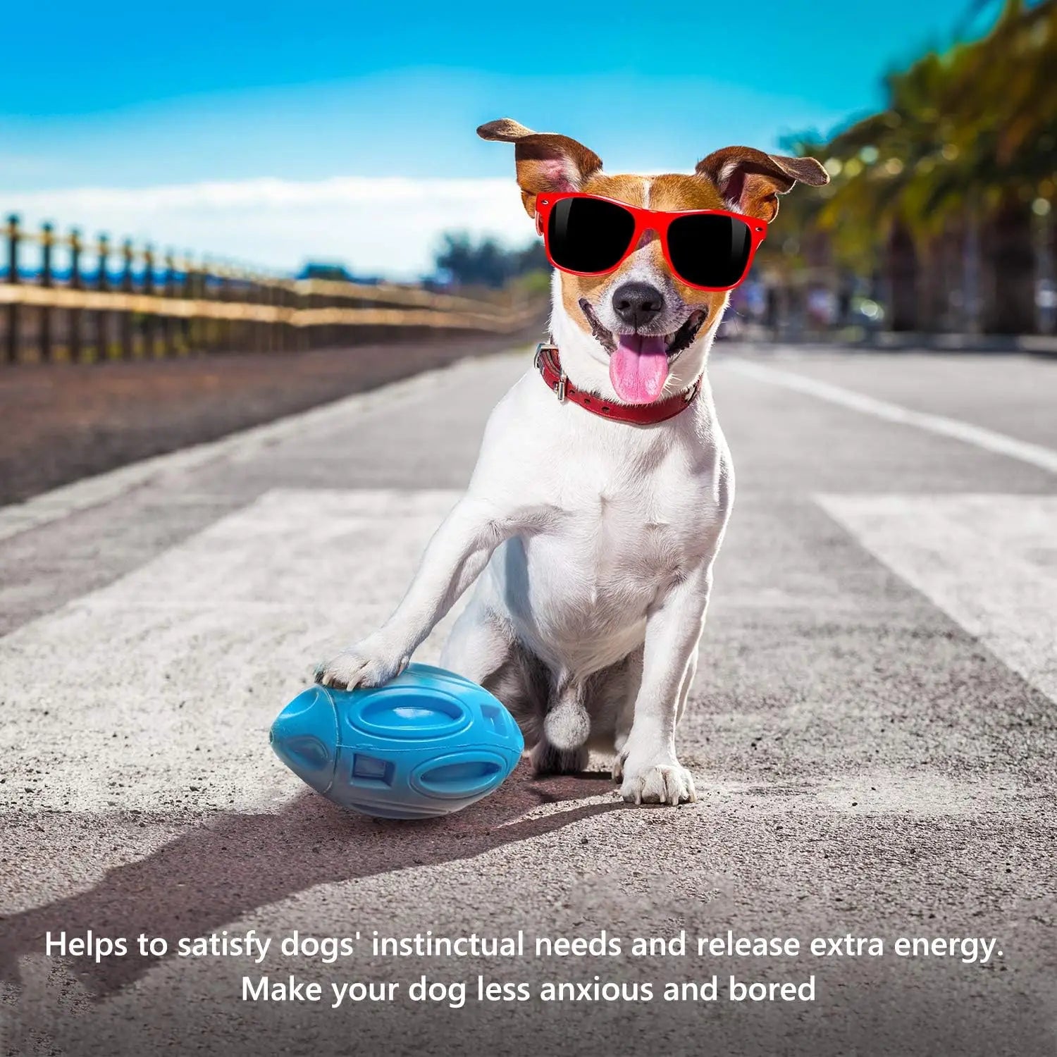 Ultra-Durable Rubber Squeaky Chew & Fetch Dog Ball