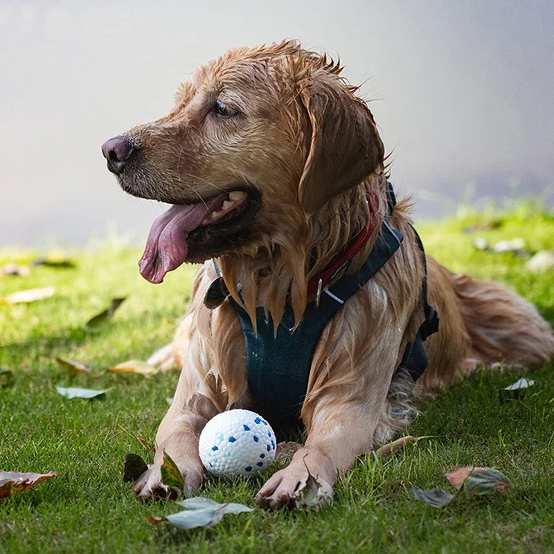 High Elasticity Bite-Resistant Solid Dog Toy Ball