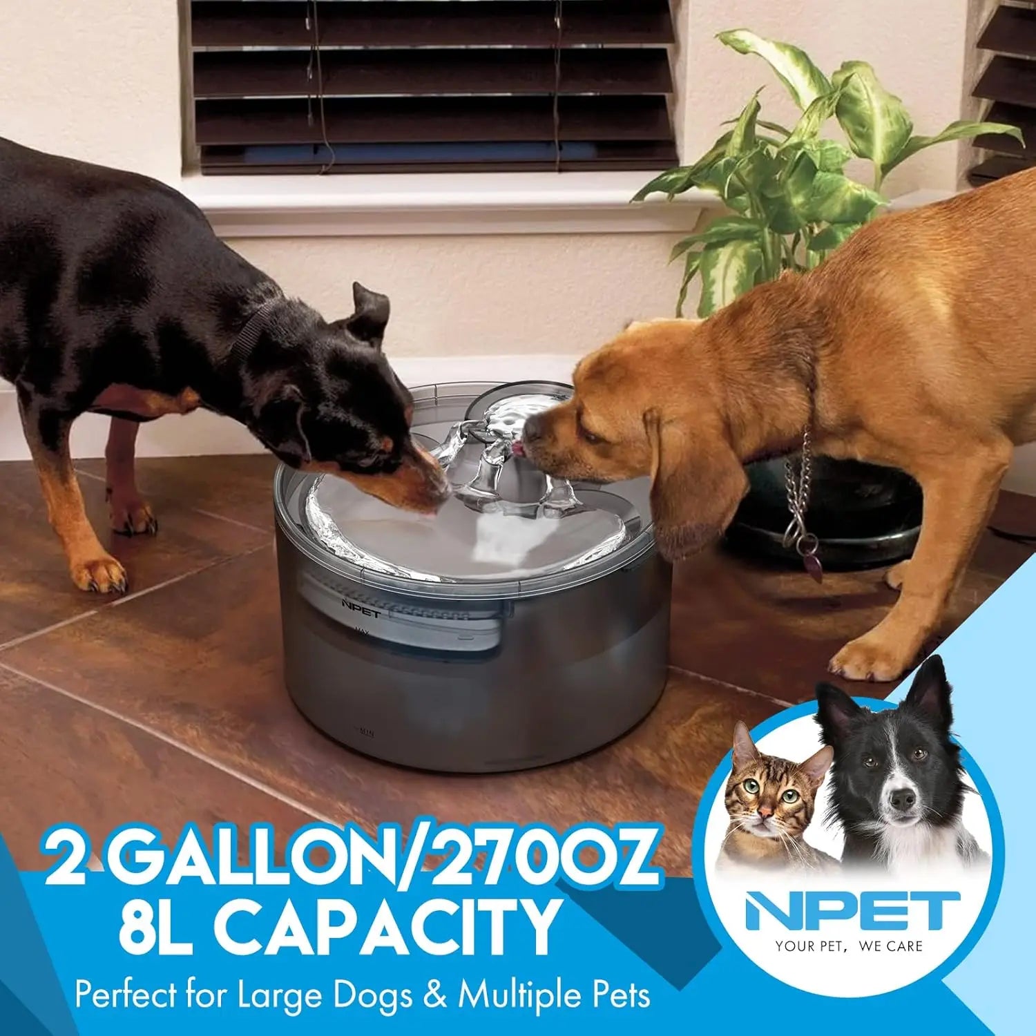 NPET Large Pet Water Fountain w/Splash Guard