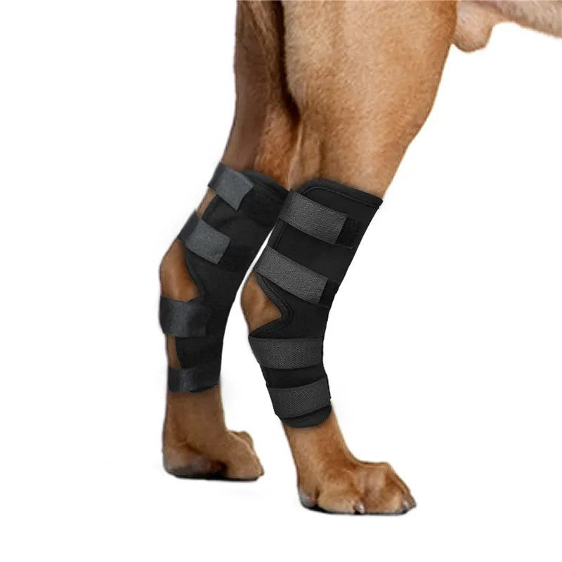 2PC Dog Joint Brace Bandage Wrap