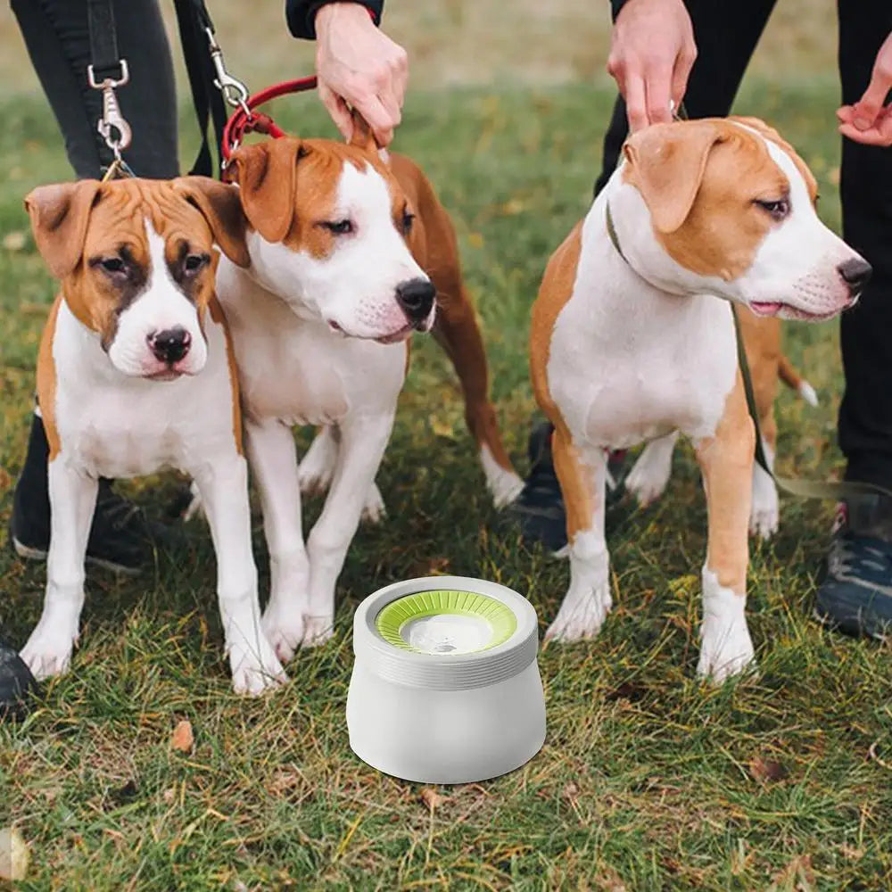 Large Capacity Spill-Proof Pet Water Bowl