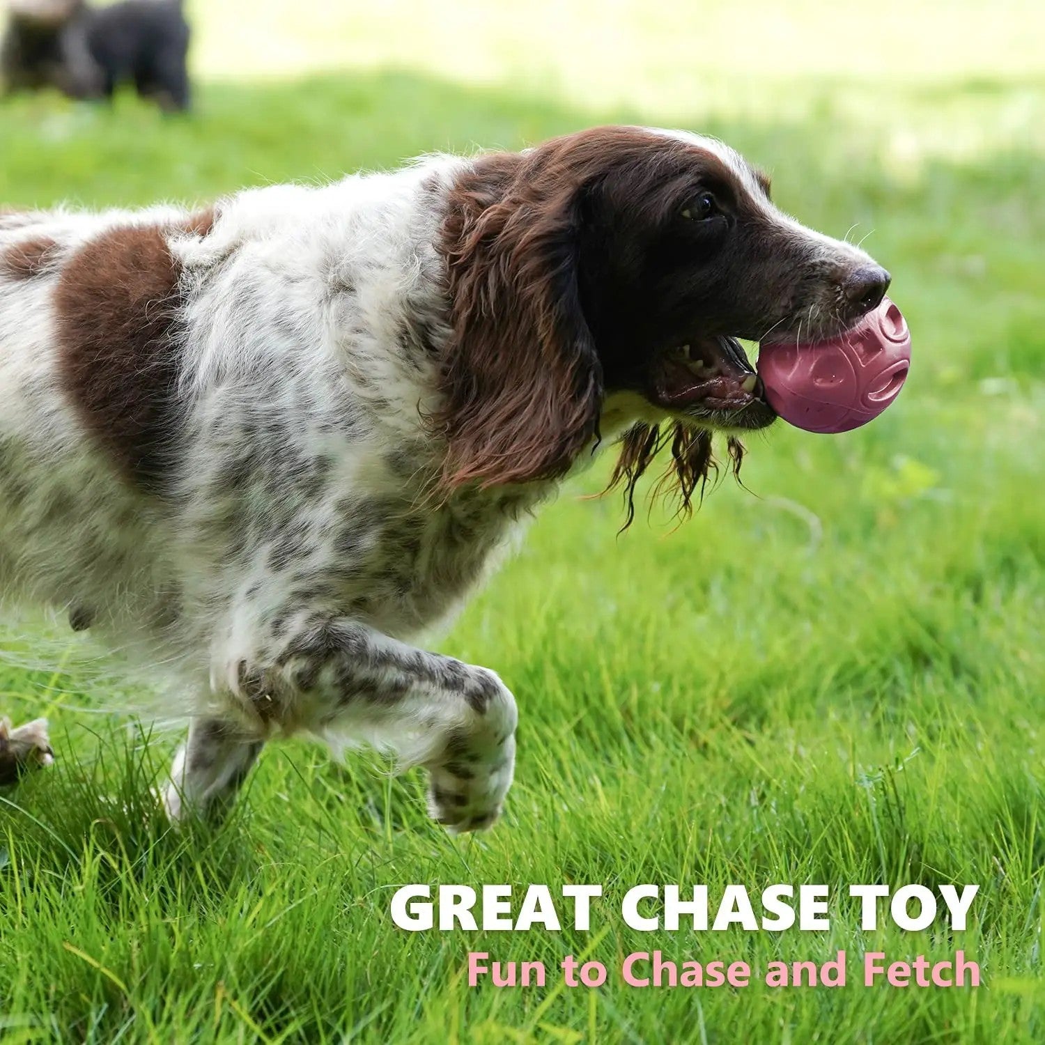 Ultra-Durable Rubber Squeaky Chew & Fetch Dog Ball