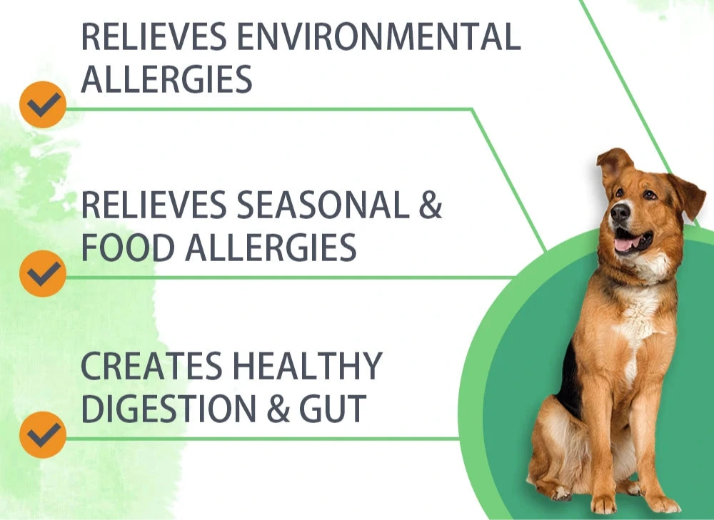 Anti-Allergy, Skin & Immune Support Powder For Dogs