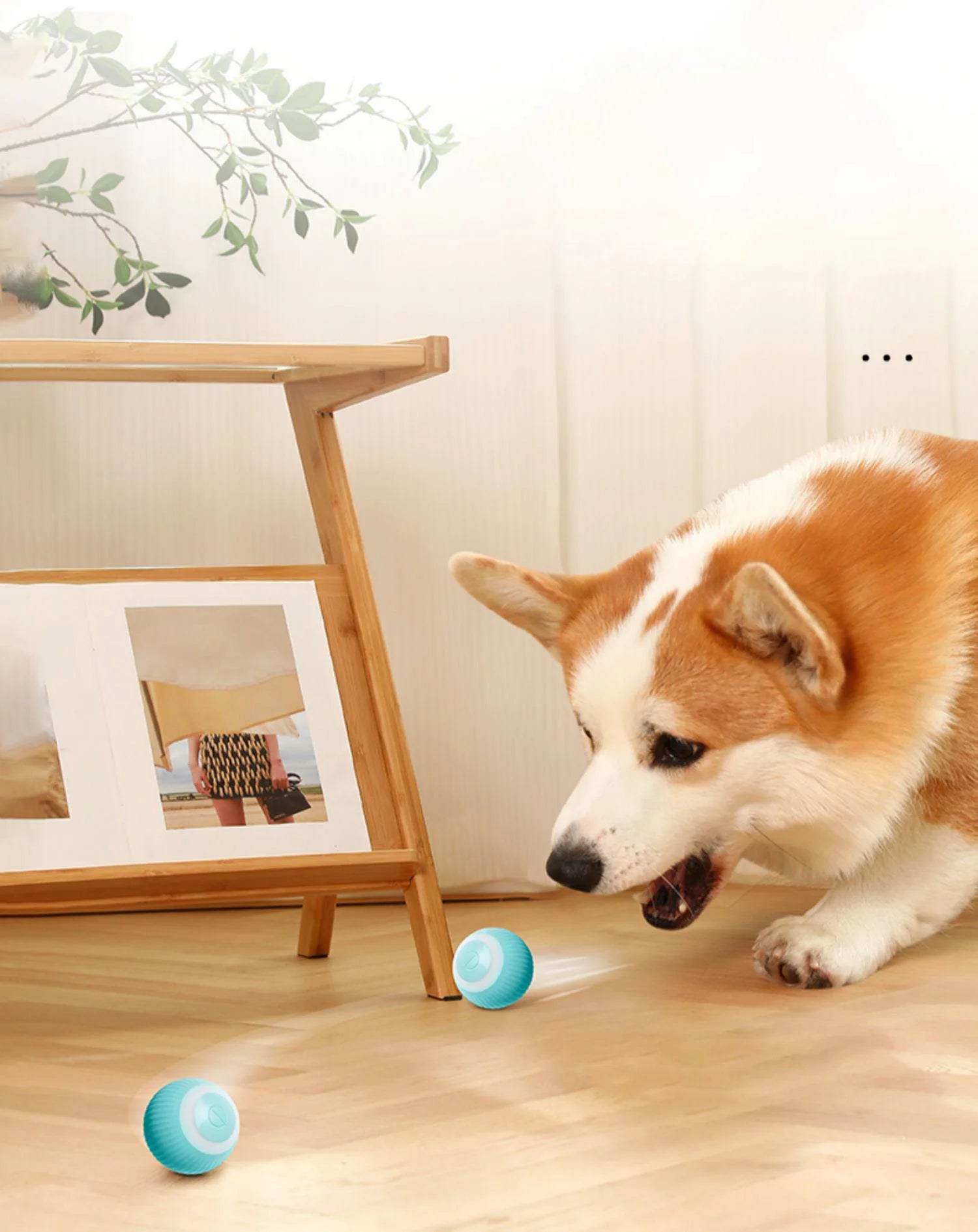 Gravity Intelligent X-Small Electric Rolling Smart Pet Ball