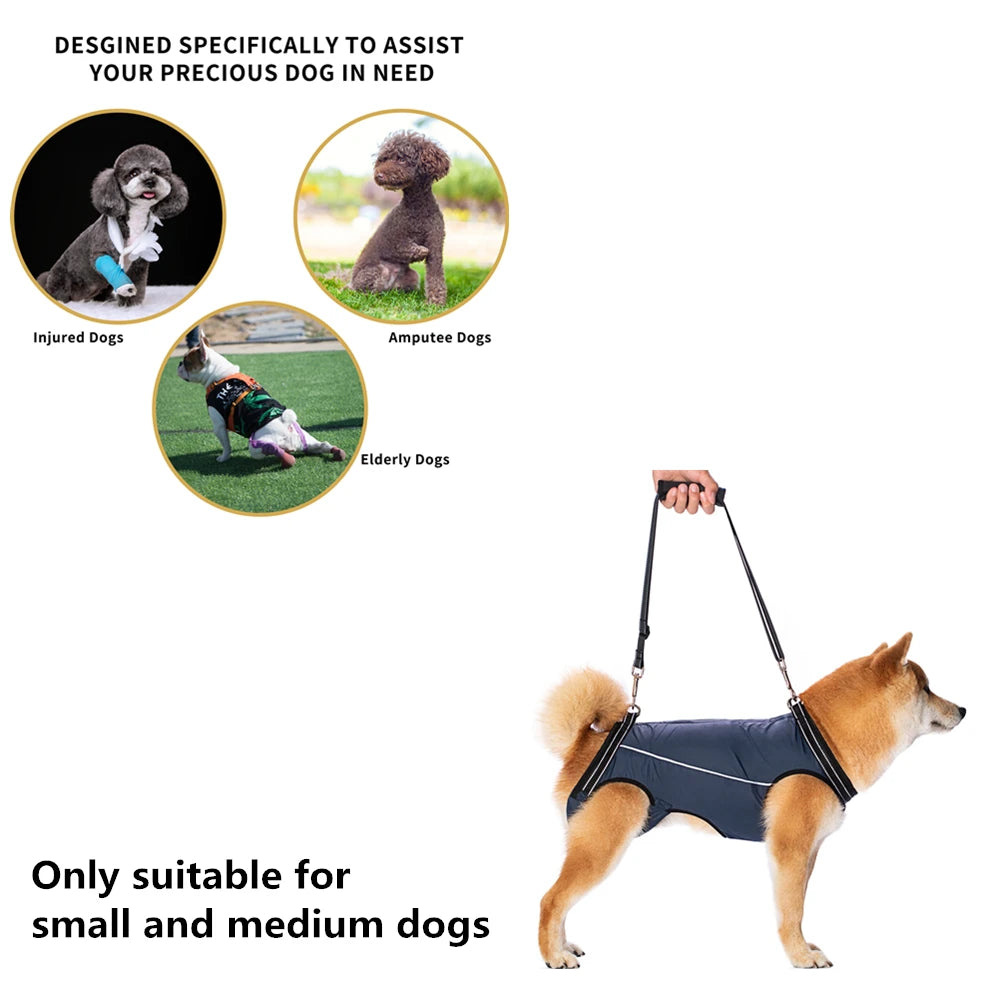 Dog Support Harness for Front & Rear Legs