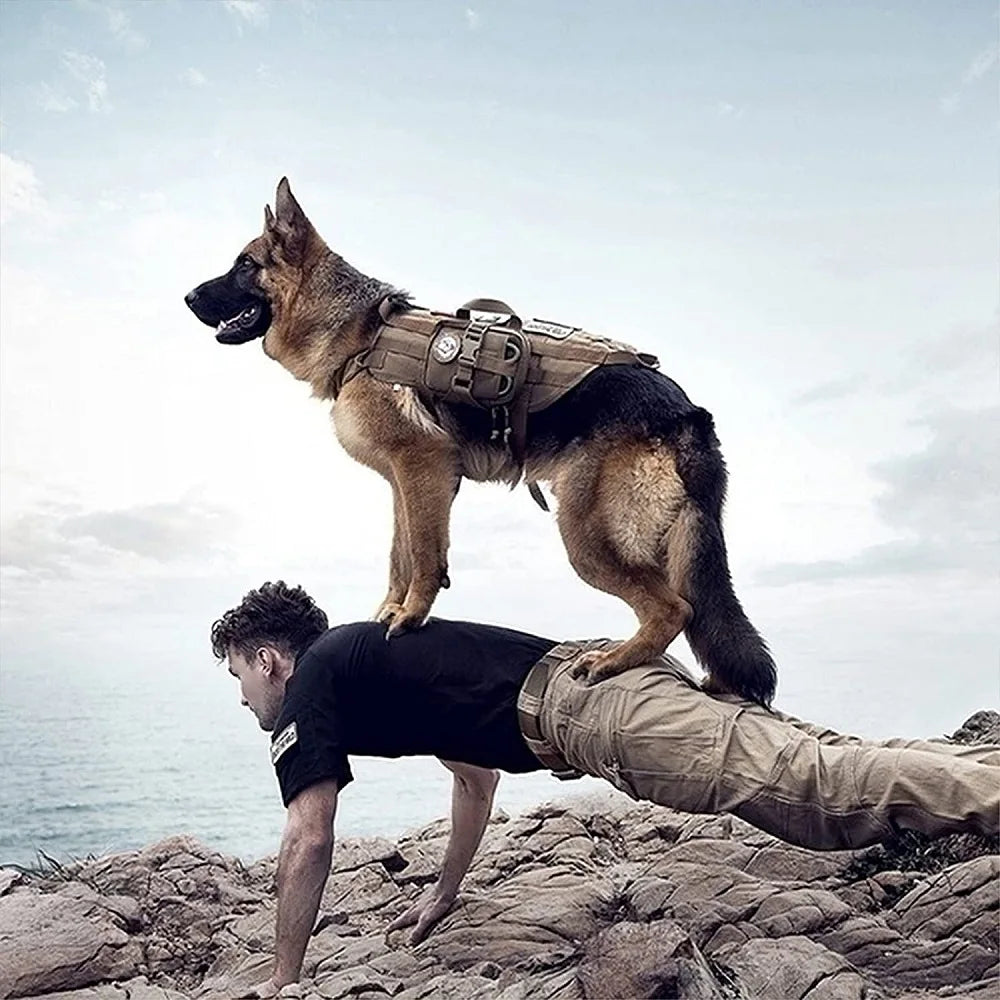 Large Dog Tactical Training Vest Harness & Leash Set