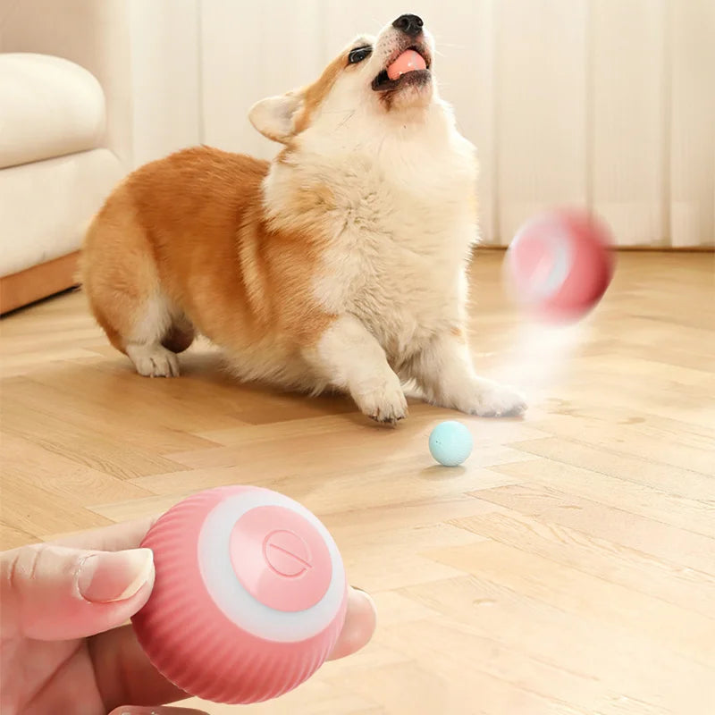 Gravity Intelligent X-Small Electric Rolling Smart Pet Ball