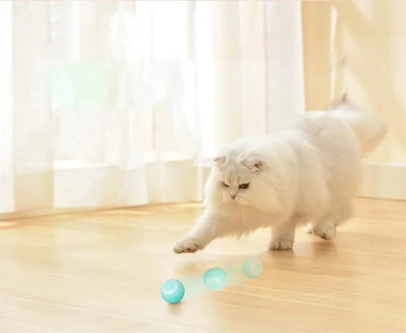 Gravity Intelligent X-Small Electric Rolling Smart Pet Ball