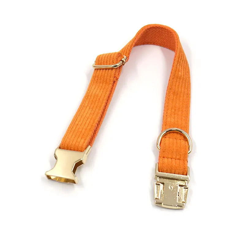 Fashion Corduroy Dog Collar w/ Gold Metal Buckle