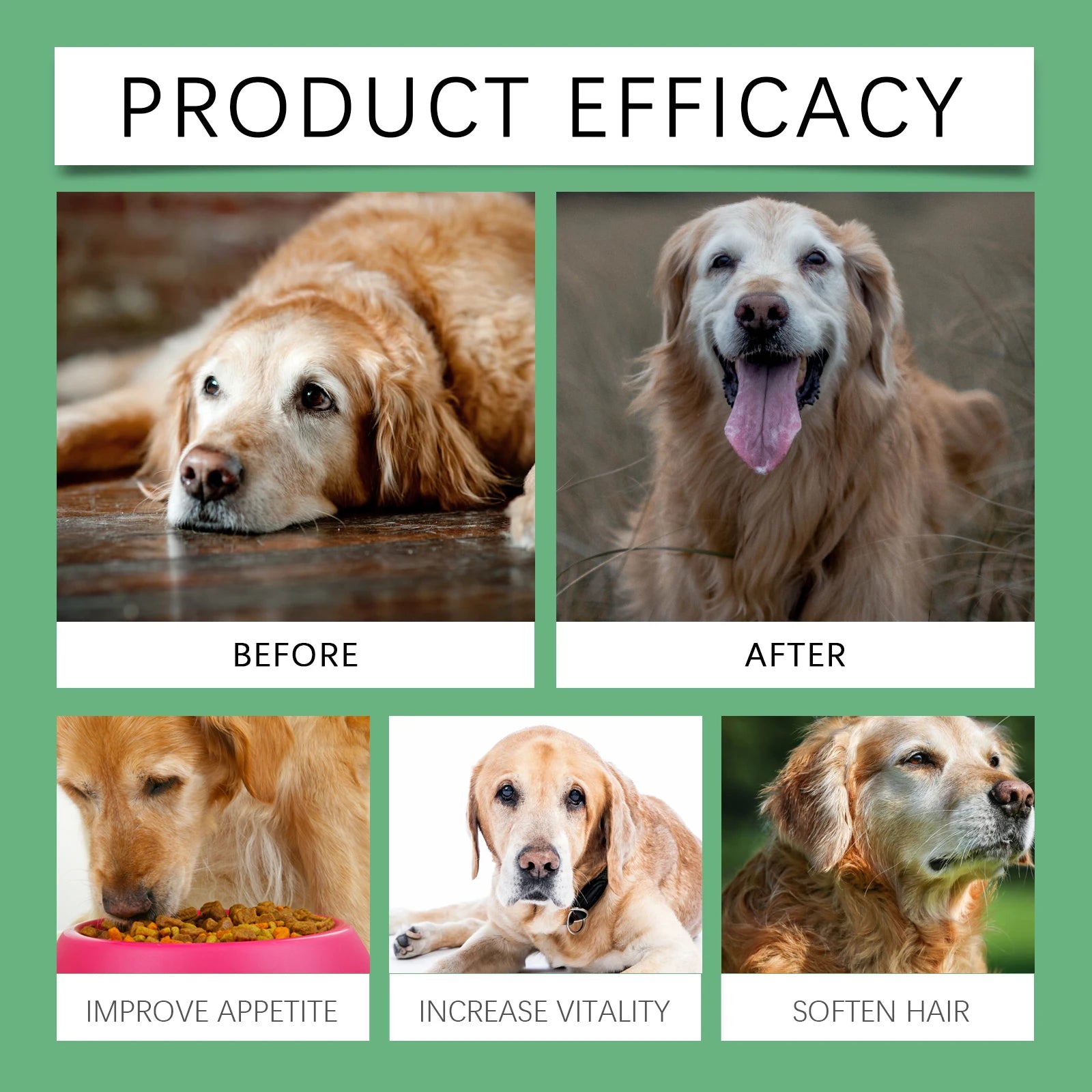 Senior Dog Metabolism & Immunity Boosting Multi-Vitamin Supplement Tablets