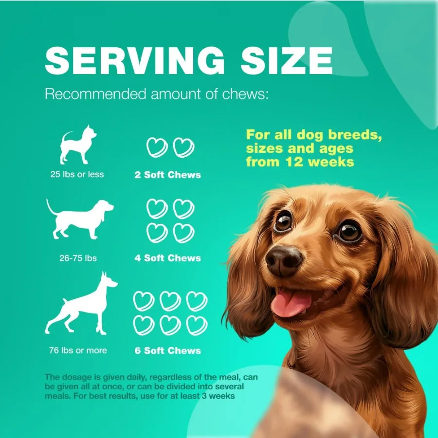 Dog Probiotic & Digestive Enzyme Soft Chew Travel Pack