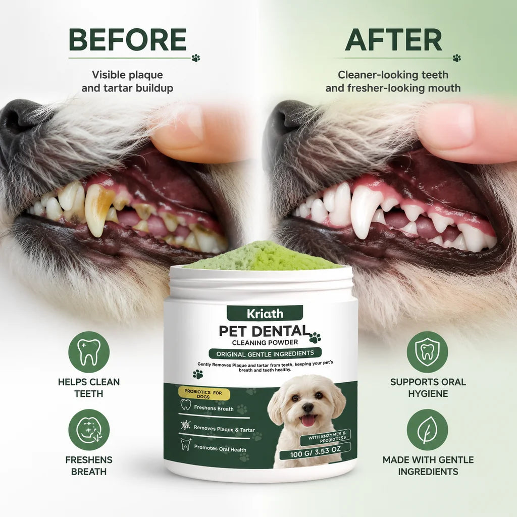 Plaque Defense Enzyme Formula Natural Pet Dental Powder