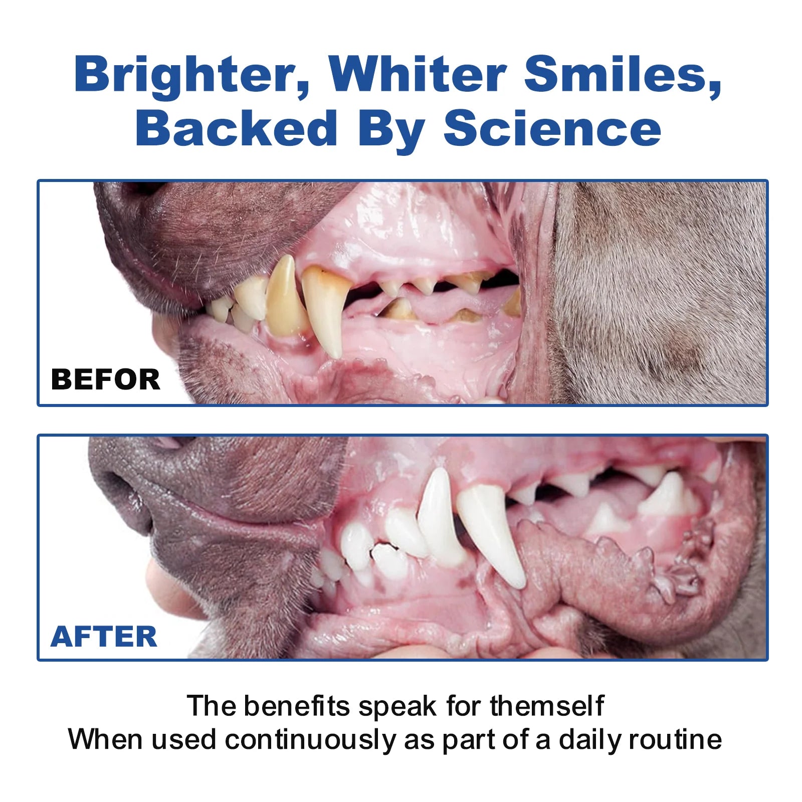 Green Tea Pet Dental Care Powder & Plaque Remover