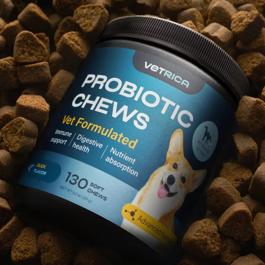 Immune System Support Dog Probiotic Soft Chews