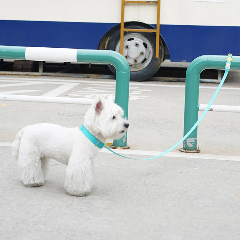 Luxury Dog Collar