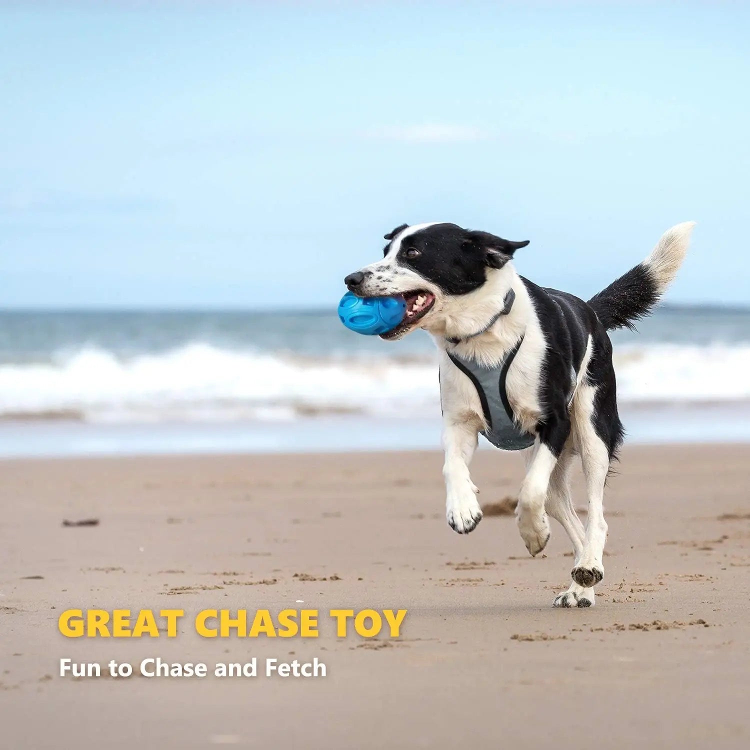 Ultra-Durable Rubber Squeaky Chew & Fetch Dog Ball