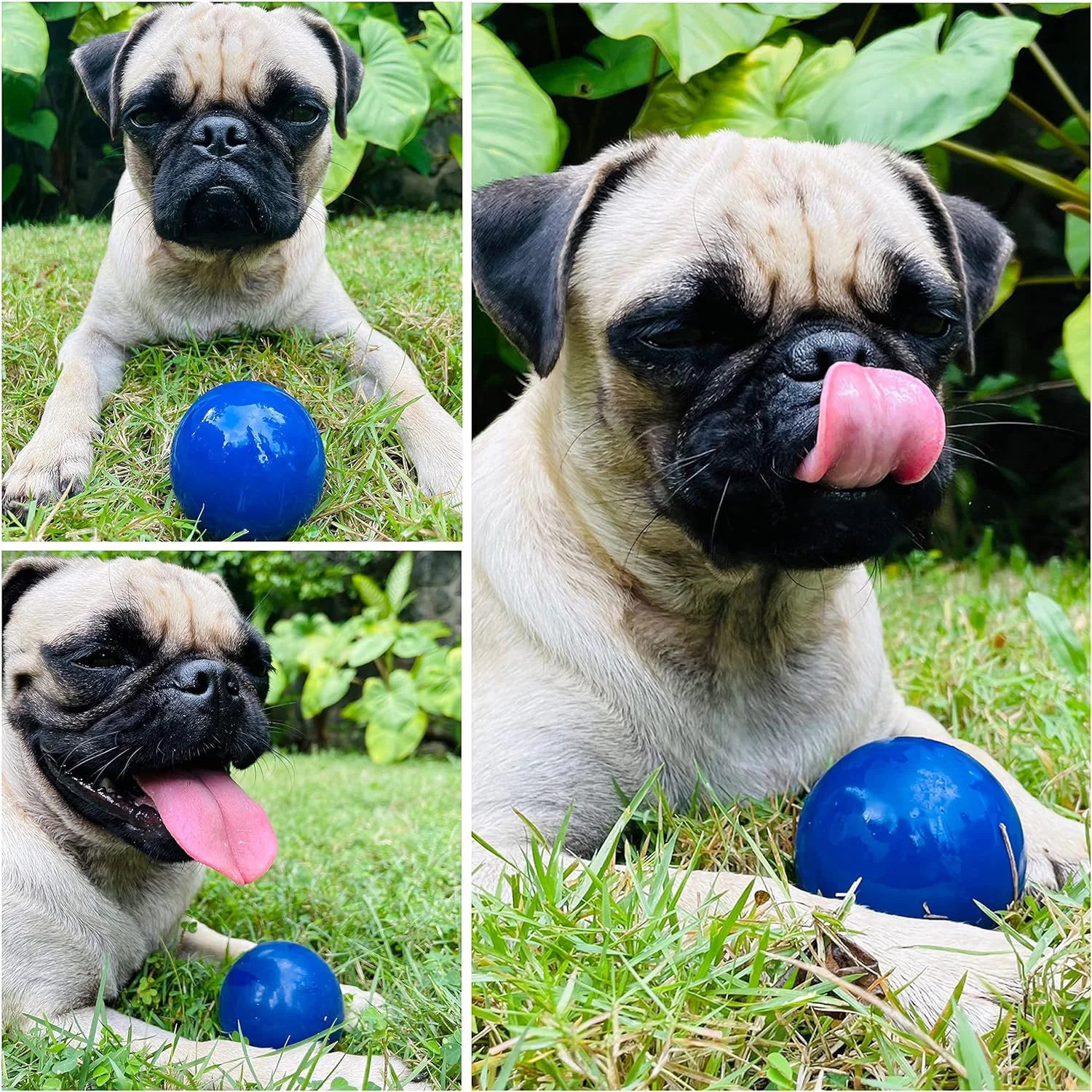 Super Chewy Tough Natural Rubber Dog Ball