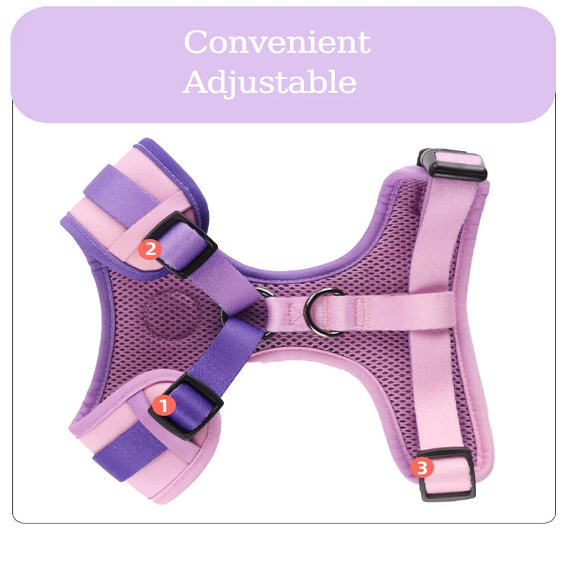 Adjustable Mesh Dog Vest Harness + Leash + Collar + Bag Holder Set
