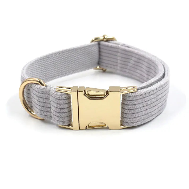 Fashion Corduroy Dog Collar w/ Gold Metal Buckle