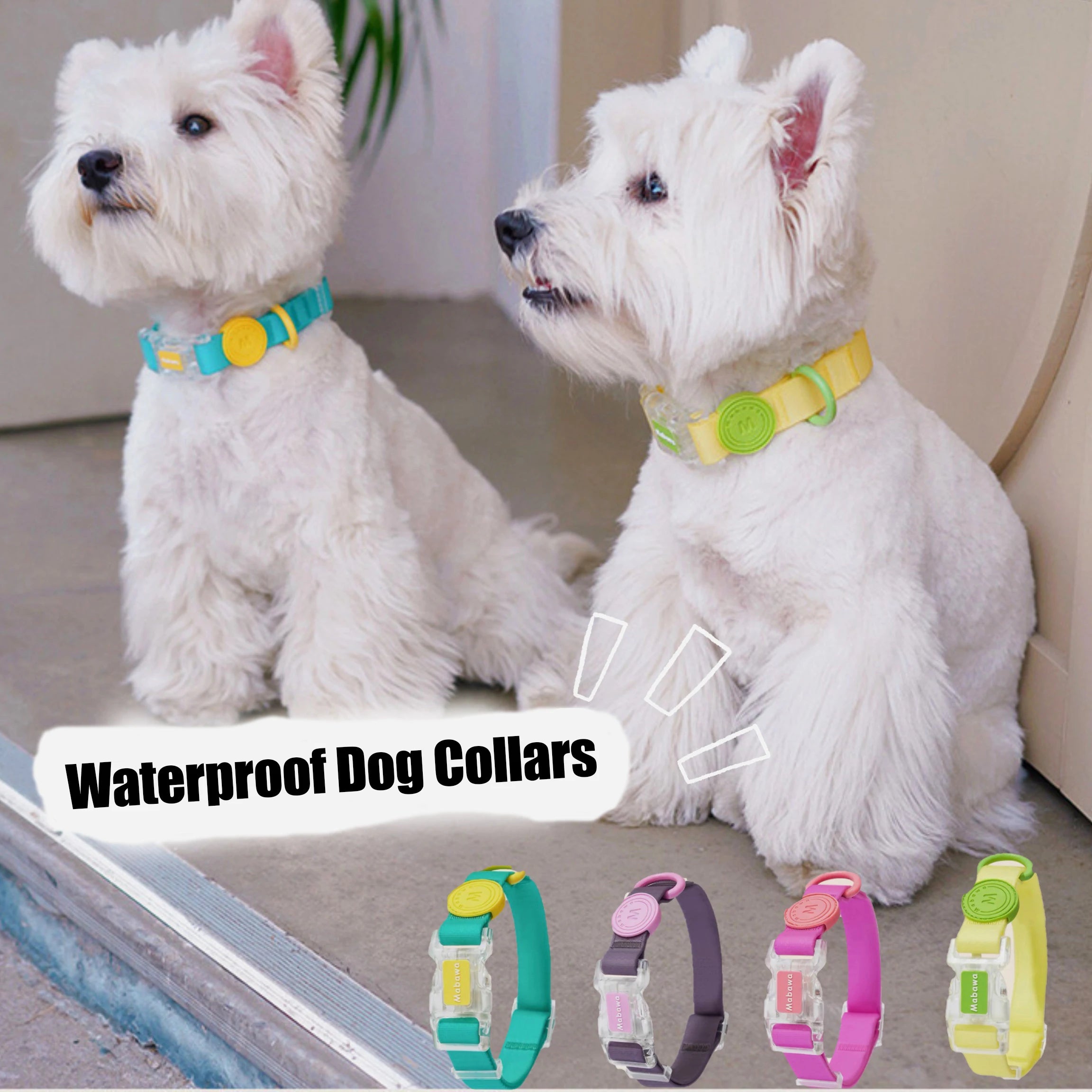 Luxury Dog Collar