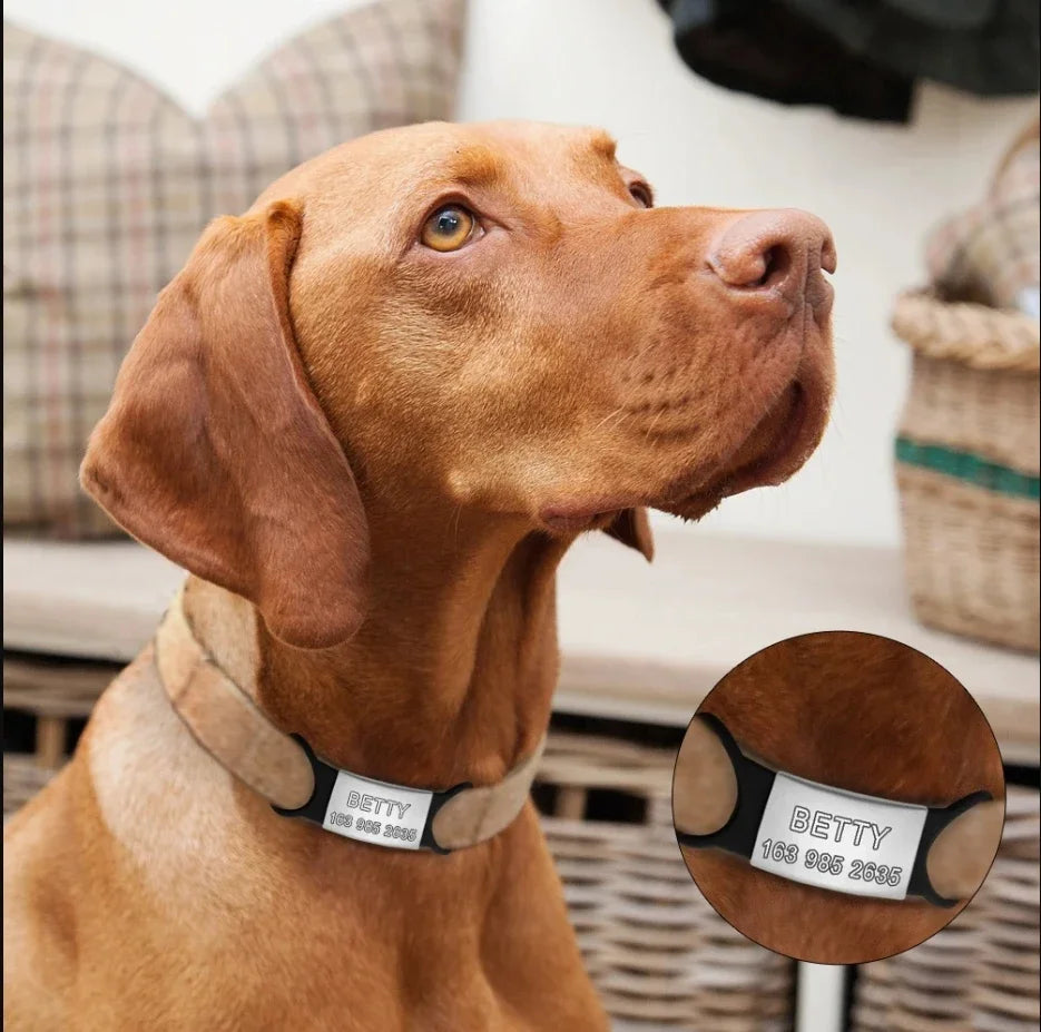 Custom Laser Engraved Pet ID Collar Charm