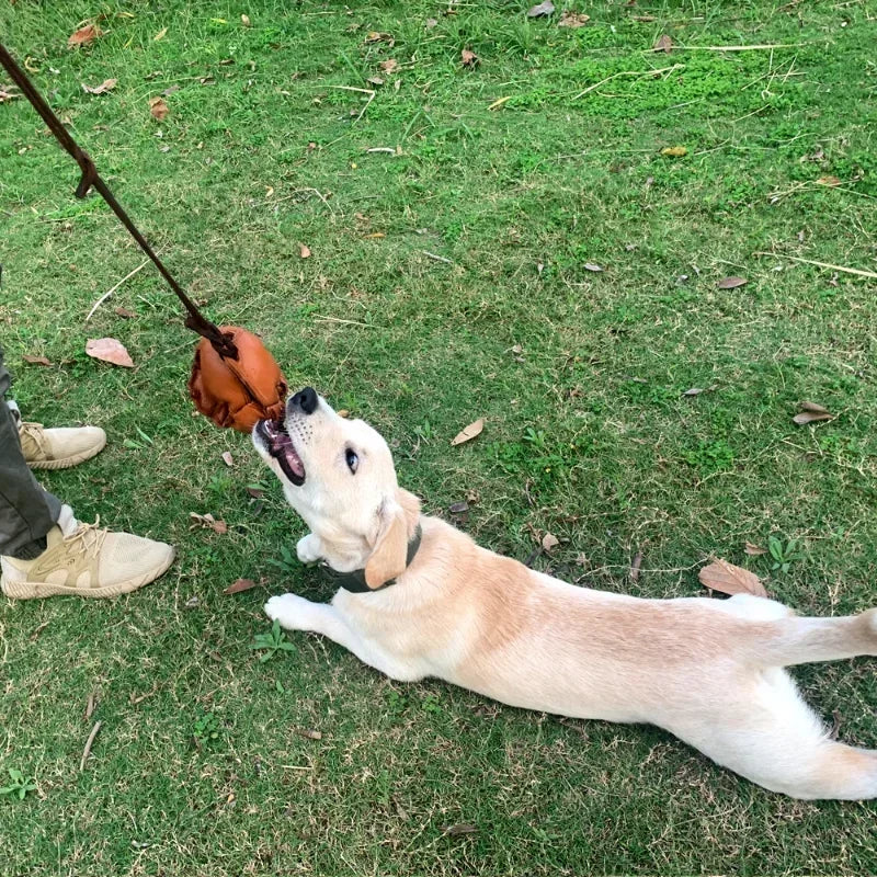 Leather Handle Dog Training Ball