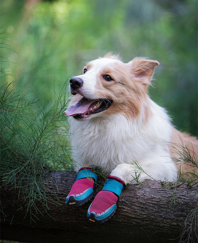 Truelove Explorer Reflective Durable Pet Training Boots w/Golden Vibram Soles